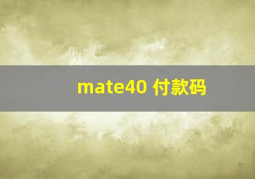 mate40 付款码